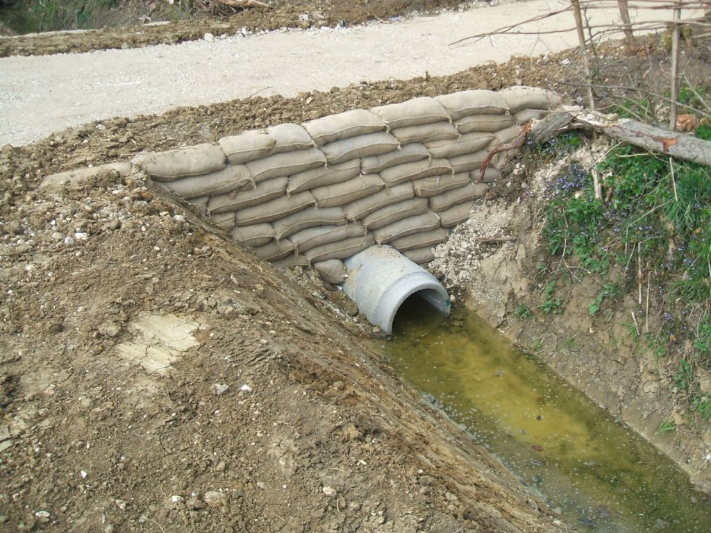 Bank Stabilization 