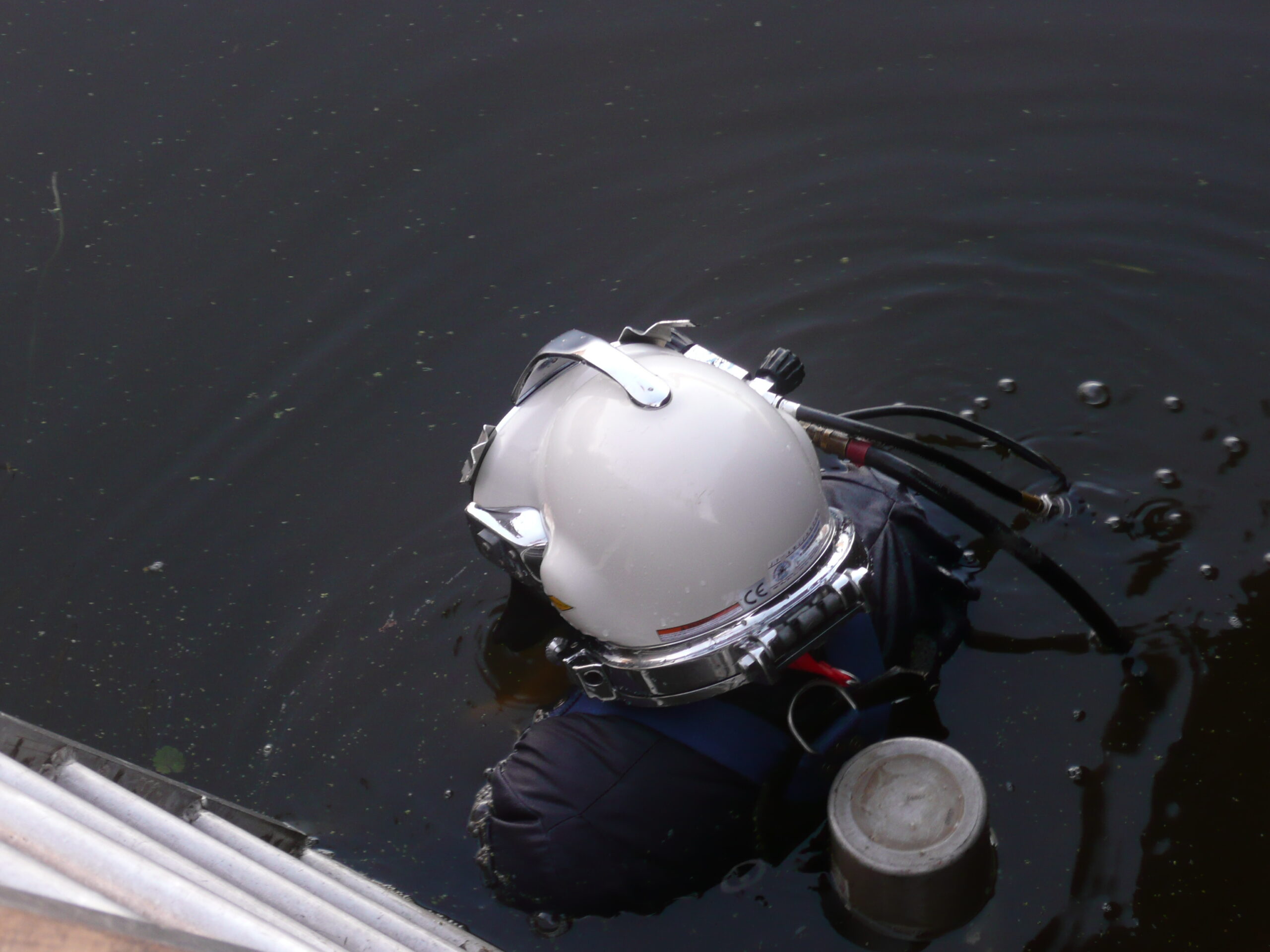 Dive Team Surveys